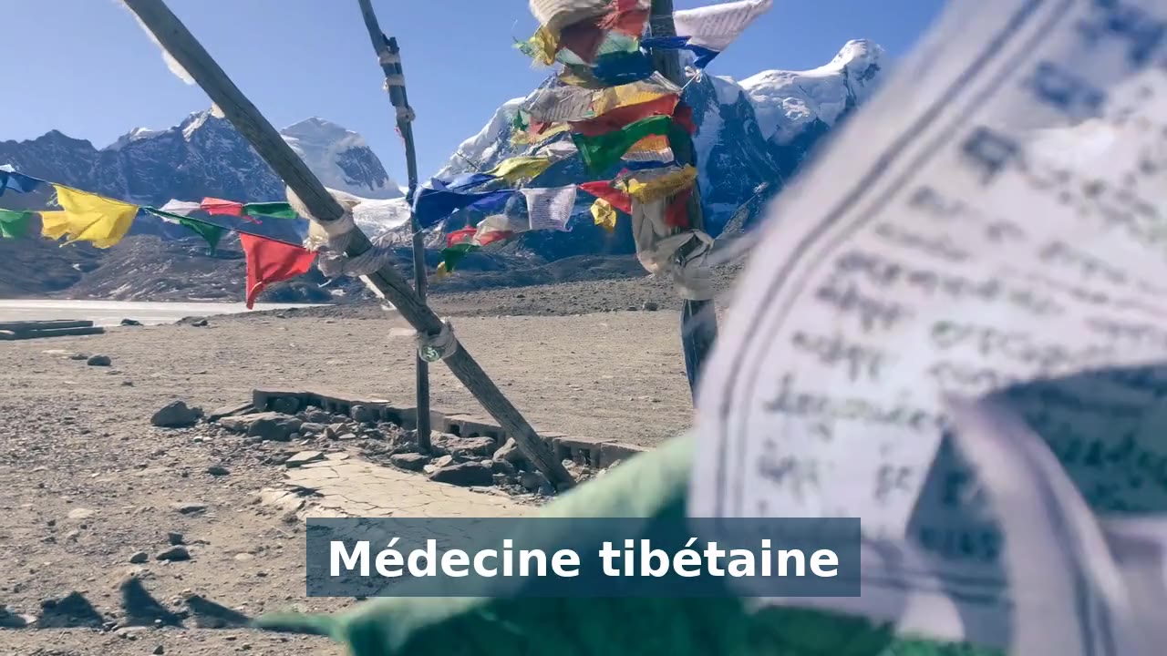 La médecine tibétaine en vidéo