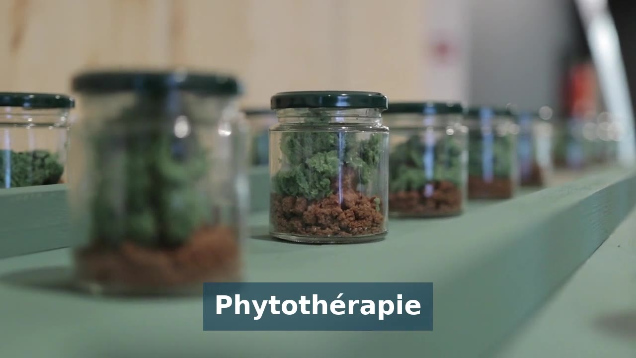 La phytothérapie en vidéo